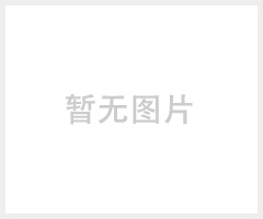 工业级带JAVA TCP/IP GPRS MODEM TC65调制解调器